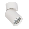 Light Prestige Pointa 1 spot biały 1xGU10 LP-6398/1WS WH