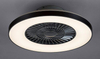 Lampa sufitowa Rabalux Dalfon 6858 srebrny