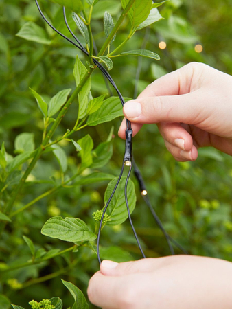 Lampki ozdobne Markslöjd GARDEN 108178 IP44 2700K