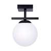 Lampa sufitowa Zuma Line 1210 GLOBE LAMPA SUFITOWA CZARNY