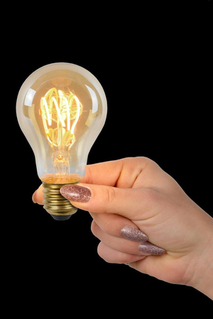 Żarówka Lucide LED BULB 49042/04/62 