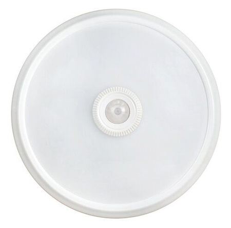 Lampa sufitowa Rabalux Gabriel 2498 biały