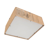 Lampa sufitowa NOMAD Zuma Line CL22009B-D40 biały