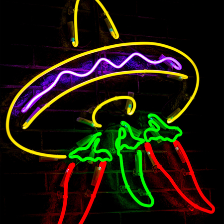 Eko-Light NEON EKO-FLEX Czerwony 6/12 5m EKF1031 Czerwony
