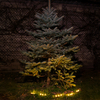 Eko-Light Lampa Solarna Pot 3000K IP44 EKO1449