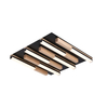 Lampa sufitowa ELIOT Zuma Line MX4980-6S-3BMT czarny
