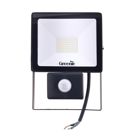 Naświetlacz LED Greenie Professional 30W z czujnikiem ruchu i zmierzchu IP44 NW