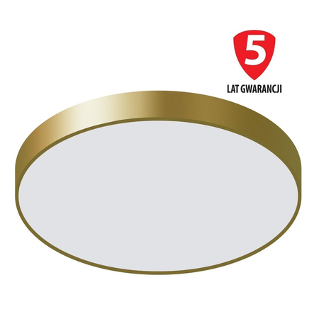 Plafon Italux 5361-860RC-GD-3 Orbital Złoty