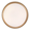 Lampa sufitowa Rabalux Liatris 71121 popielaty