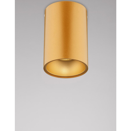 Spot Luces Exclusivas CASENDA LE65138 złoty i odcienie złota