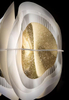 Lampa wisząca Slamp FIORDLYS - GOLD ROUND FRDSM00GLD01T00ROUEU złoty