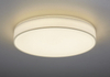 Lampa sufitowa Trio 621915501 biały