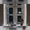 Lampa wisząca Umage 2081 Acorn Black Polished Steel