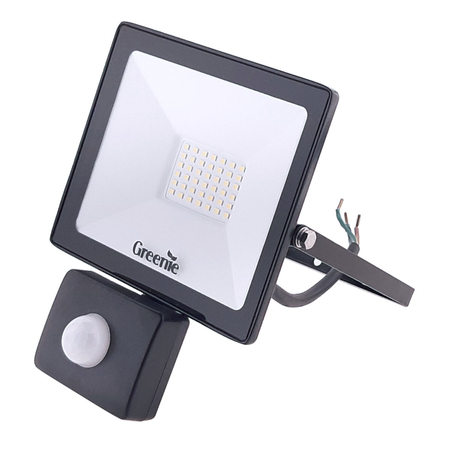 Naświetlacz LED Greenie Professional 30W z czujnikiem ruchu i zmierzchu IP44 NW