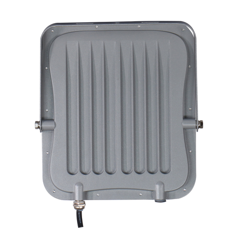 Naświetlacz Italux FD-23913-100W Szary