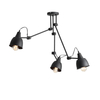Plafon PLAFON AIDA 3 BLACK Aldex 842PL_E czarny