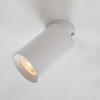 Spot Zuma Line TLS006-WH TORE LAMPA SUFITOWA BIAŁA/WHITE