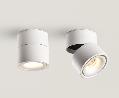 Oprawa natynkowa Abigali CRI90+ 20° 12W WW