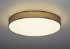 Lampa sufitowa Trio 621915511 szary