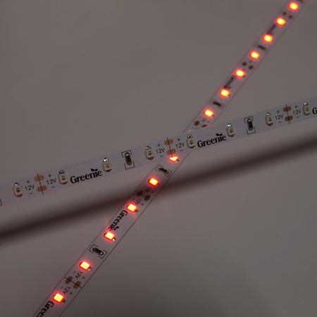 Taśma LED Greenie 1m 60 diod 3528SMD na metr 4.8W/mb zielona rolka 5m [3 lata gwarancji]