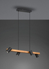 Lampa wisząca Trio 312490432 czarny