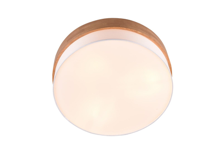 Lampa sufitowa Trio 611500301 srebrny