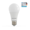 Blaupunkt Żarówka LED E27 A65 18W barwa naturalna