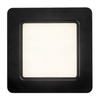 Lampa sufitowa Rabalux Shaun 2682 czarny