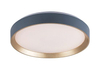 Lampa sufitowa Rabalux Liatris 71121 popielaty