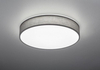 Lampa sufitowa Trio 621914011 szary