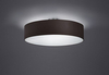 Lampa sufitowa Trio 603900302 czarny/srebrny