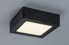 Lampa sufitowa Rabalux Shaun 2689 czarny