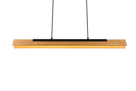 Lampa wisząca Trio 341610132 czarny