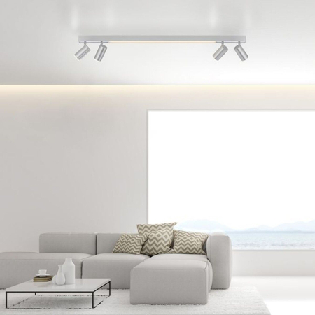 Lampa sufitowa Paul Neuhaus PURE-LINES 6121-95 szary