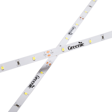 Taśma LED Greenie 1m 30 diod 3528SMD na metr 2.4W/mb niebieska Rolka 5m [3 lata gwarancji]