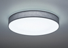 Lampa sufitowa Trio 621915511 szary