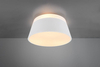 Lampa sufitowa Trio 608900331 biały