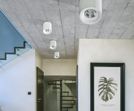 Spot MANE 20W DIMM WHITE Azzardo AZ4327 biały