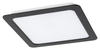 Lampa sufitowa Rabalux Shaun 2683 czarny