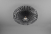 Lampa sufitowa Trio 606905032 czarny
