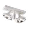 Lampa sufitowa Zuma Line ACGU10-183 Master 111-2-SL