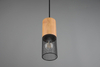 Lampa wisząca Trio 73430132 czarny