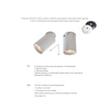 Spot Zuma Line TLS006-GLD TORE LAMPA SUFITOWA ZŁOTA/GOLD