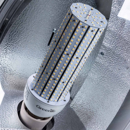 Żarówka LED Greenie AluCorn 66W E40 CS dookólna 900 diod SMD WW