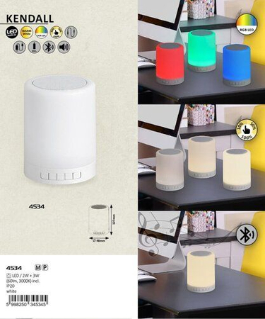 Lampa wewnętrzna Rabalux Kendall 4534 biały