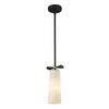 Cosmo Light Lampa wisząca BOW P01121BK