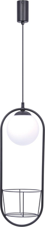 Lampa wisząca Plant 1 Zuma Line 5003 czarny