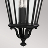 Lampa zewnętrzna Elstead Lighting Cotswold Lane czarny FE-COTSLN8-L-BK