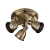 Spot Endon Lighting Westbury 76279 mosiądz