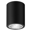 Lampa sufitowa Rabalux Kobald 2055 czarny matowy
